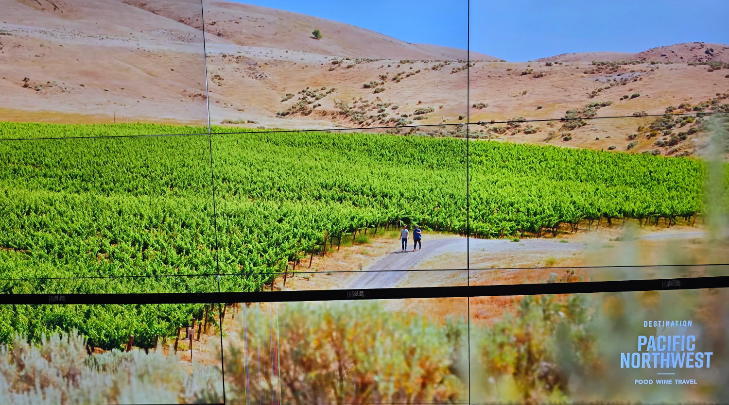 Pacific Northwest vineyard